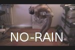 no_rain